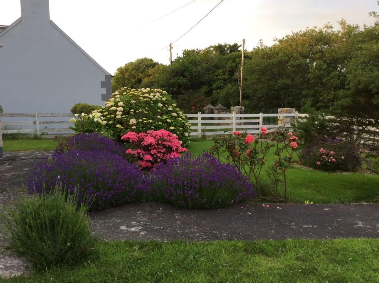 Kings Accommodation Donegal Town ภายนอก รูปภาพ